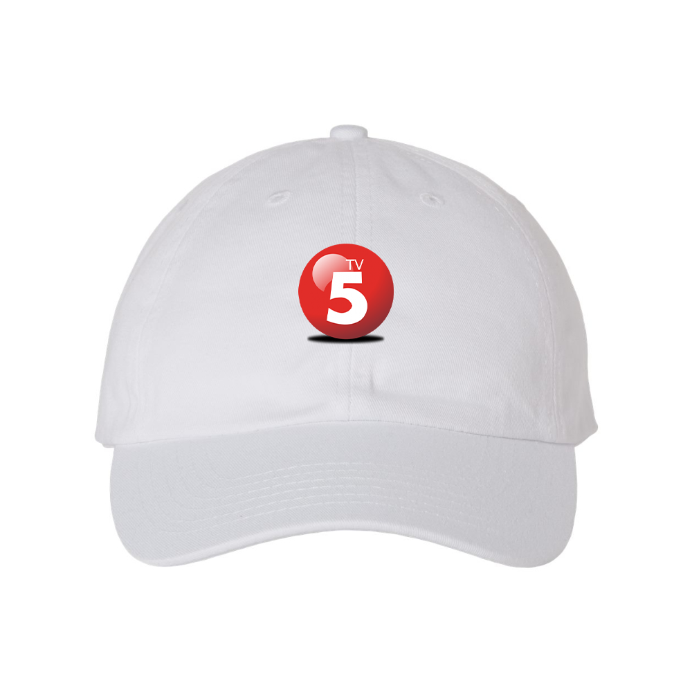 ABC TV5 Logo Valucap Adult Bio-Washed Classic Dad Hat