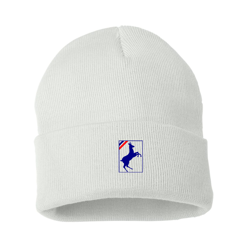 Auverland Logo Beanie Hat