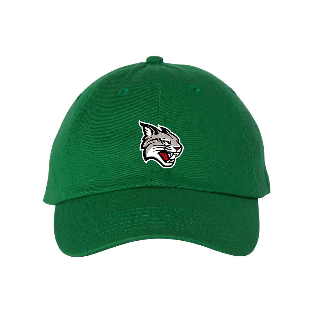 Davidson Wildcats Valucap Adult Bio-Washed Classic Dad Hat