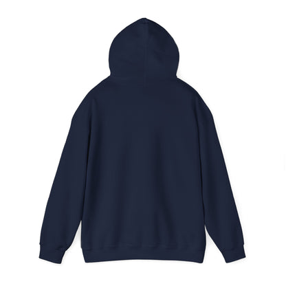 Unisex Alaska Airlines Heavy Blend™ Hooded Sweatshirt