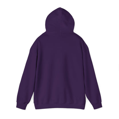 Unisex Alaska Airlines Heavy Blend™ Hooded Sweatshirt