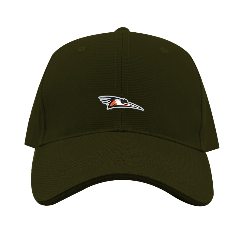 Delmarva Shorebirds Logo  Dad Baseball Cap Hat