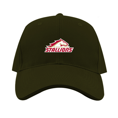 Birmingham Stallions Logo  Dad Baseball Cap Hat
