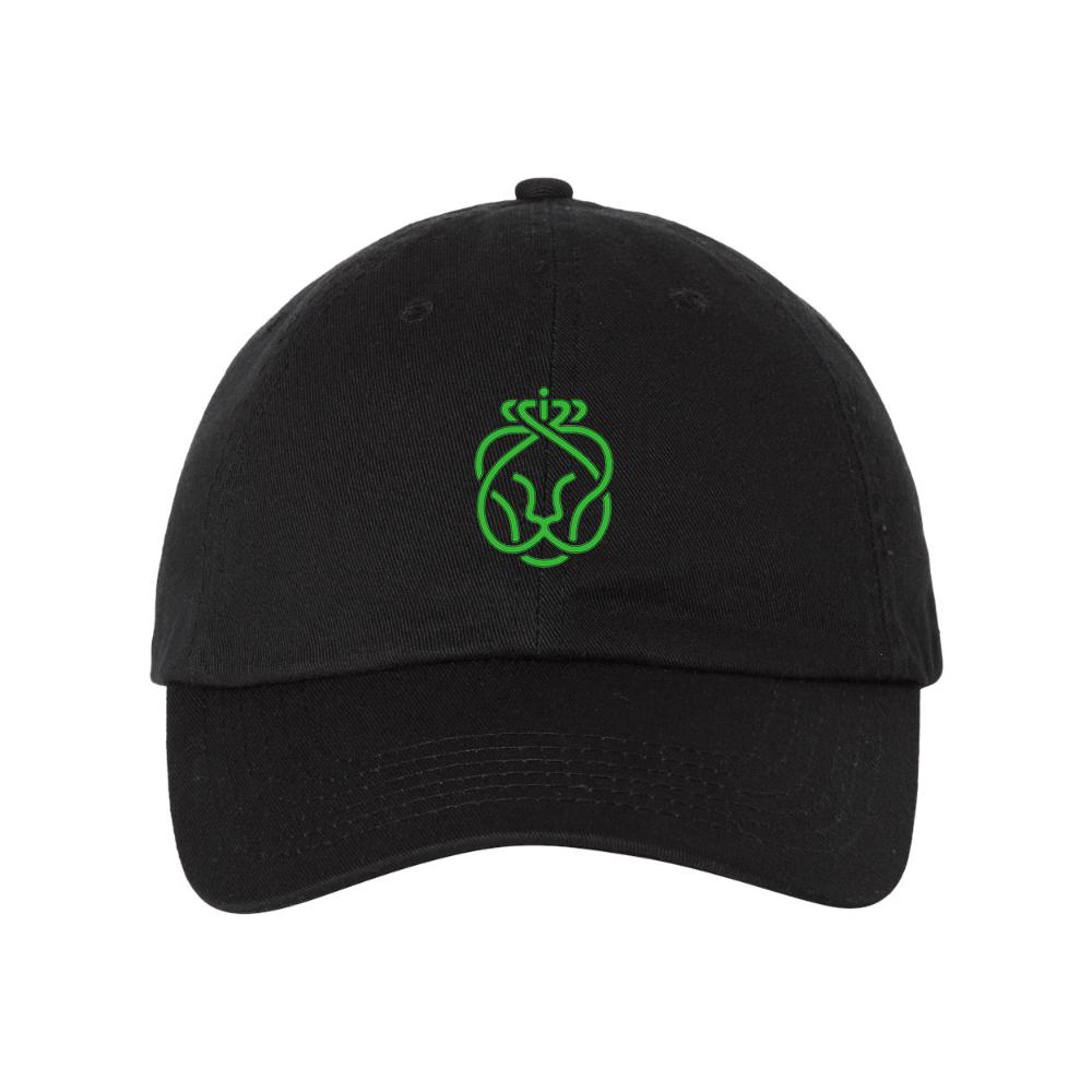 Ahold Delhaize Symbol Valucap Adult Bio-Washed Classic Dad Hat