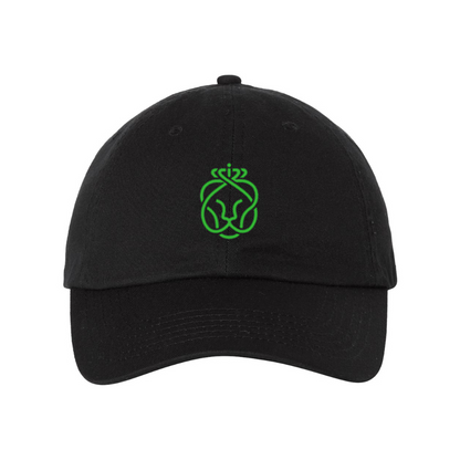 Ahold Delhaize Symbol Valucap Adult Bio-Washed Classic Dad Hat