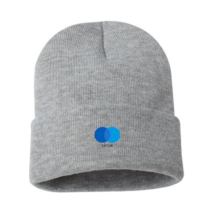 Cirrus Logo Beanie Hat