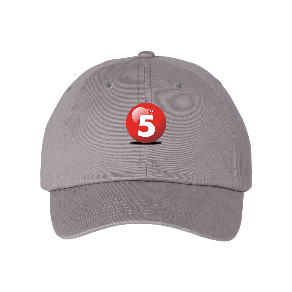 ABC TV5 Logo  Valucap Adult Bio-Washed Classic Dad Hat