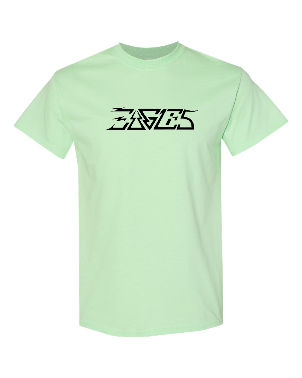Men's Eagles Gildan Heavy Cotton T-Shirt