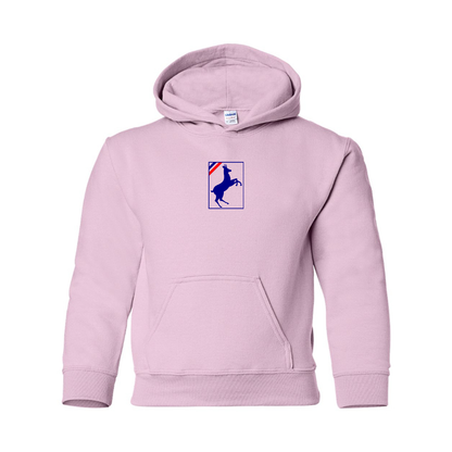 Youth Auverland Logo Pullover Hoodie