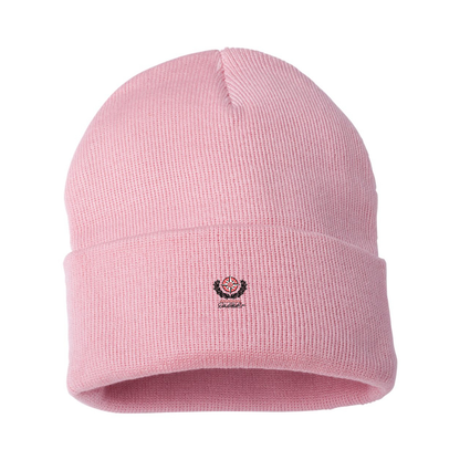 Dale Earnhardt Inc Logo Beanie Hat
