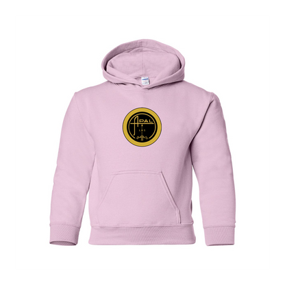 Youth  Apal Logo  Pullover Hoodie