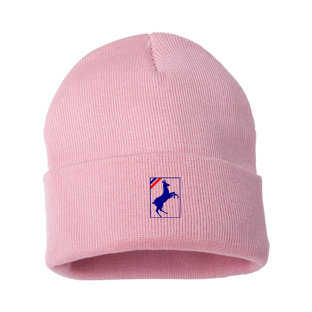 Auverland Logo Beanie Hat