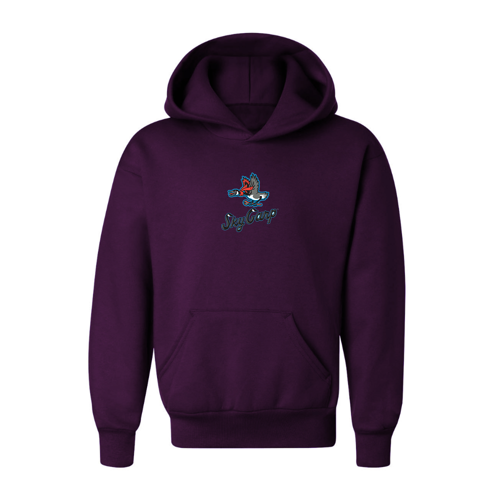 Youth Beloit Sky Carp Logo Pullover Hoodie