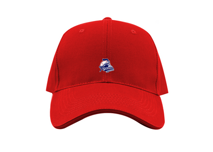 Aguascalientes Rieleros Logo Dad Baseball Cap Hat