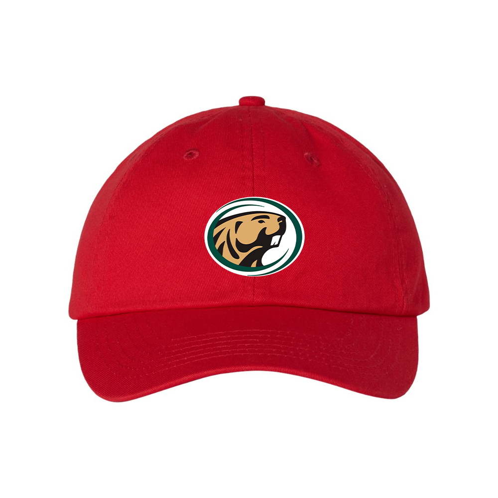 Bemidji State Beavers Valucap Adult Bio-Washed Classic Dad Hat