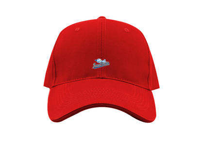 Aberdeen IronBirds Logo Dad Baseball Cap Hat
