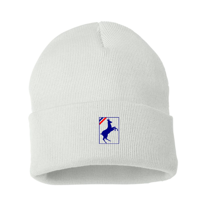 Auverland Logo Beanie Hat