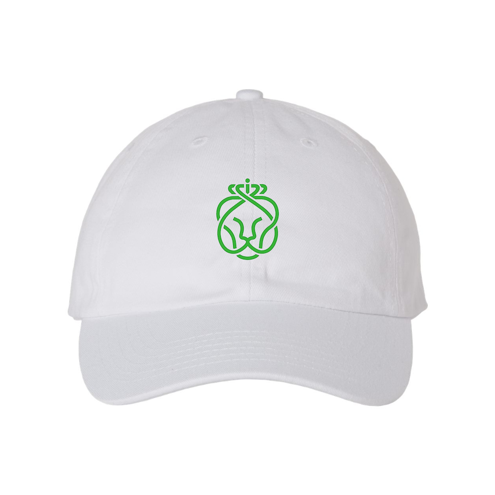 Ahold Delhaize Symbol Valucap Adult Bio-Washed Classic Dad Hat
