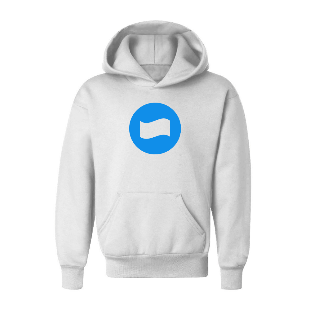 Youth Dana Logo Pullover Hoodie