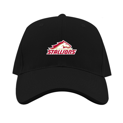 Birmingham Stallions Logo  Dad Baseball Cap Hat