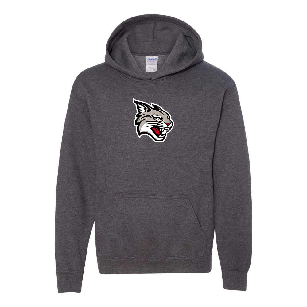 Youth  Davidson Wildcats Gildan Heavy Blend  Hooded Sweatshirt