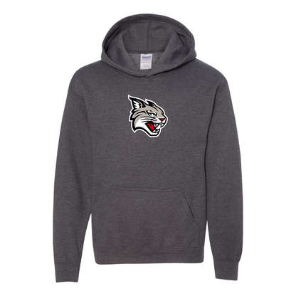 Youth  Davidson Wildcats Gildan Heavy Blend  Hooded Sweatshirt