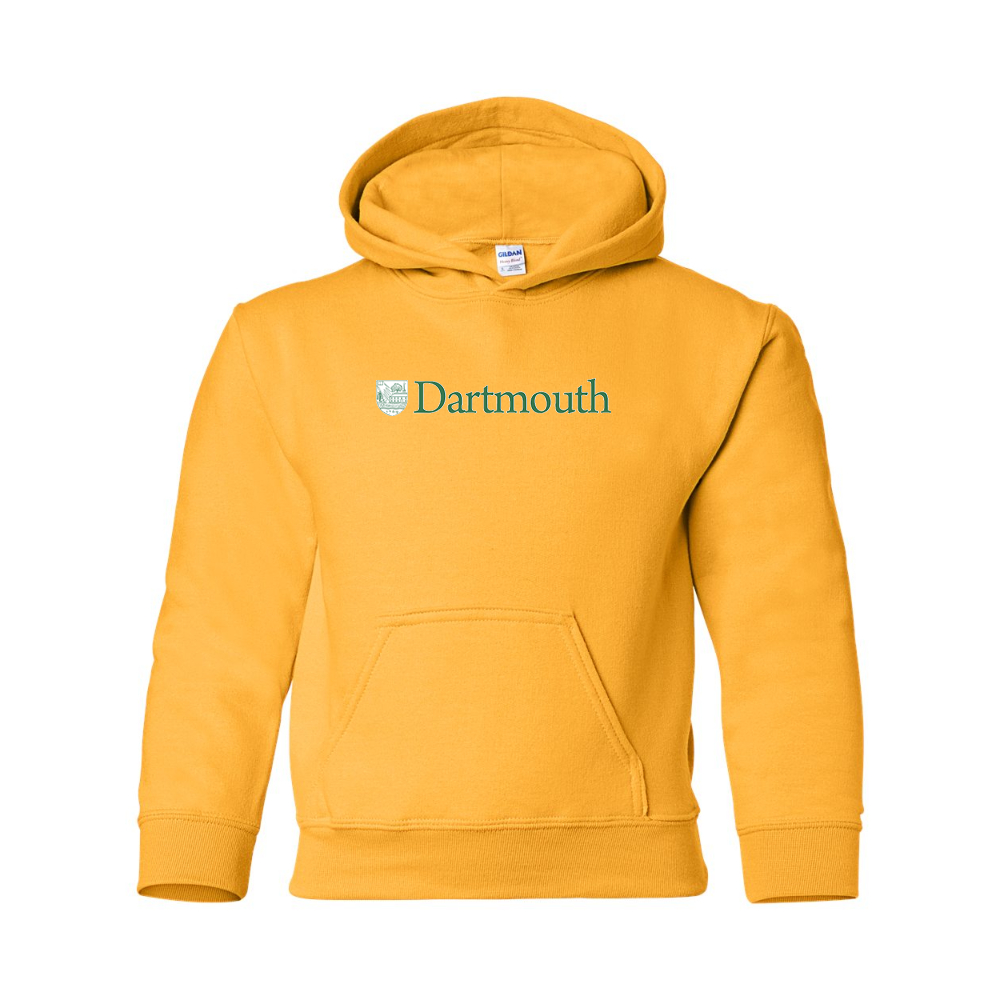 Youth  Dartmouth College Gildan Heavy Blend  Hooded Sweatshirt
