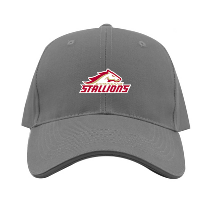 Birmingham Stallions Logo  Dad Baseball Cap Hat