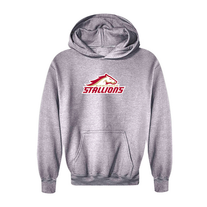 Youth Birmingham Stallions Logo Pullover Hoodie