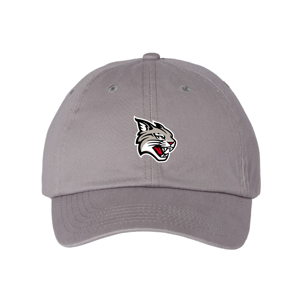 Davidson Wildcats  Valucap Adult Bio-Washed Classic Dad Hat