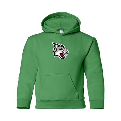 Youth  Davidson Wildcats Gildan Heavy Blend  Hooded Sweatshirt