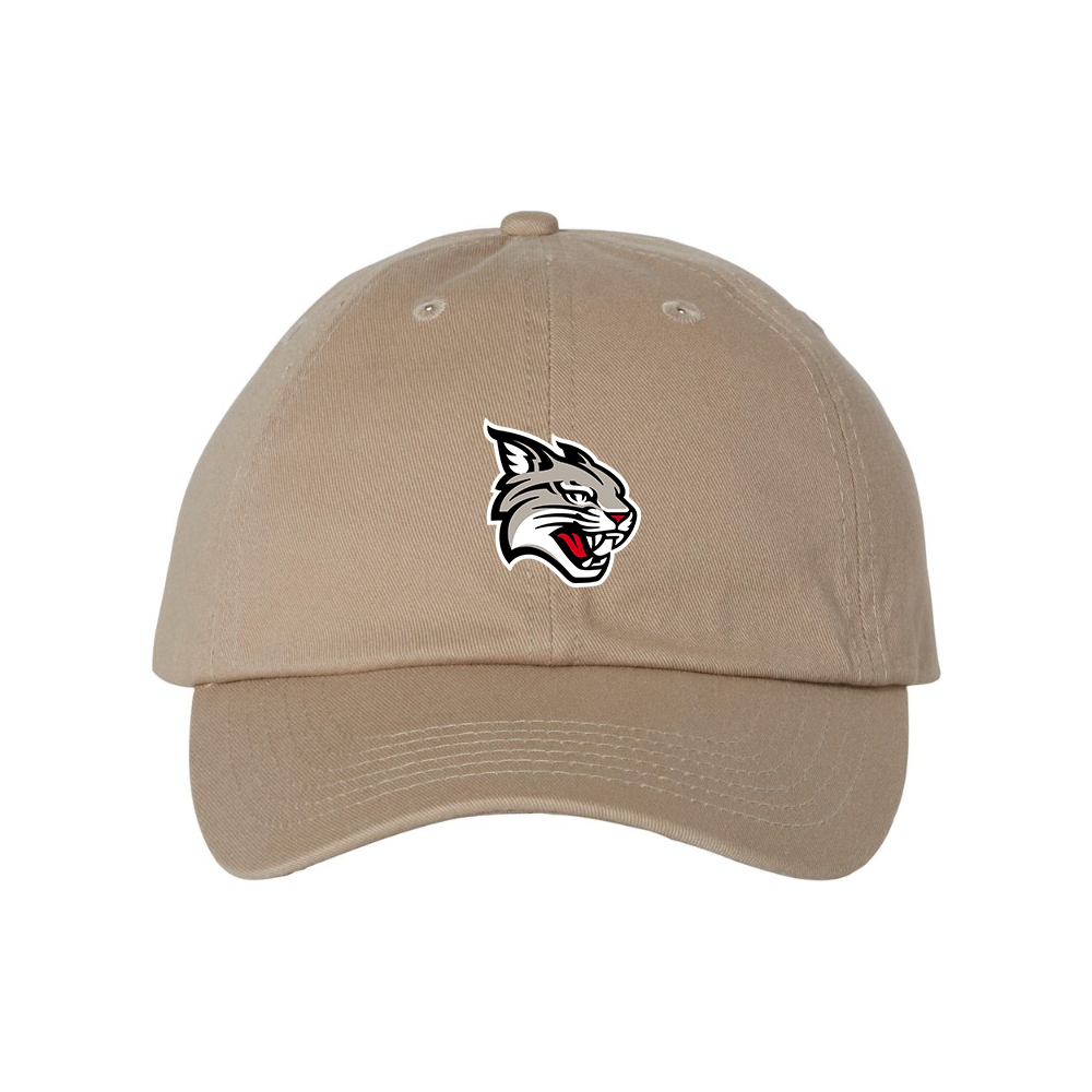 Davidson Wildcats  Valucap Adult Bio-Washed Classic Dad Hat