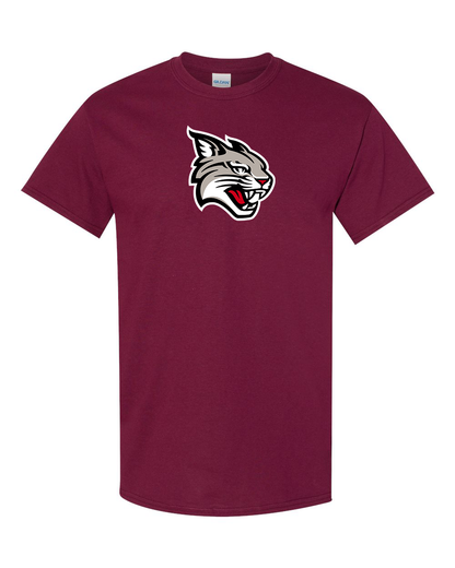 Men's Davidson Wildcats Gildan Heavy Cotton T-Shirt