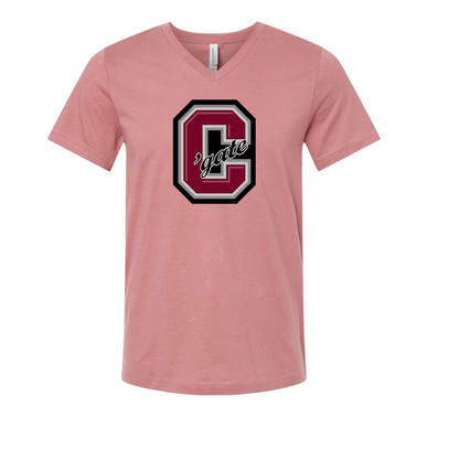 Colgate Raiders BELLA  CANVAS - Jersey V-Neck T-Shirt