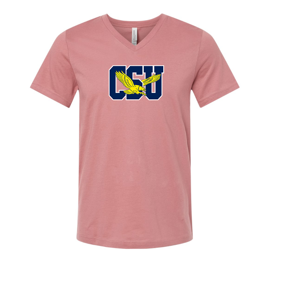 Coppin State Eagles  BELLA  CANVAS - Jersey V-Neck T-Shirt