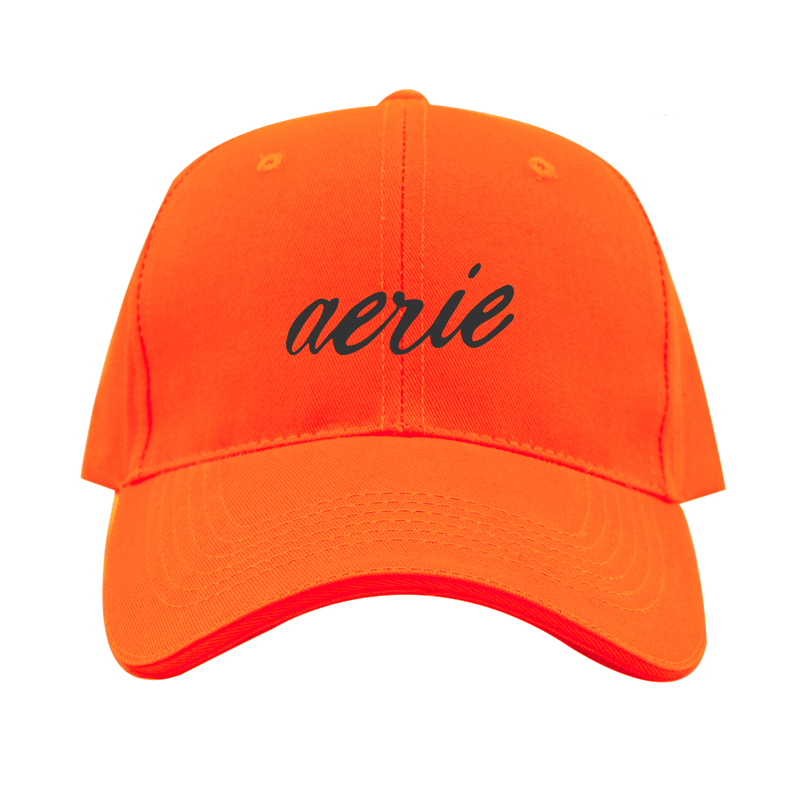 Aerie Logo  Dad Baseball Cap Hat