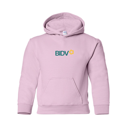 Youth BIDV Pullover Hoodie
