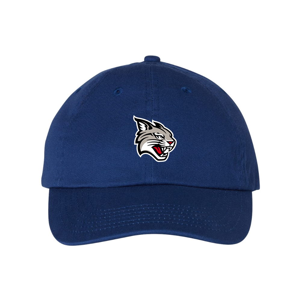 Davidson Wildcats  Valucap Adult Bio-Washed Classic Dad Hat