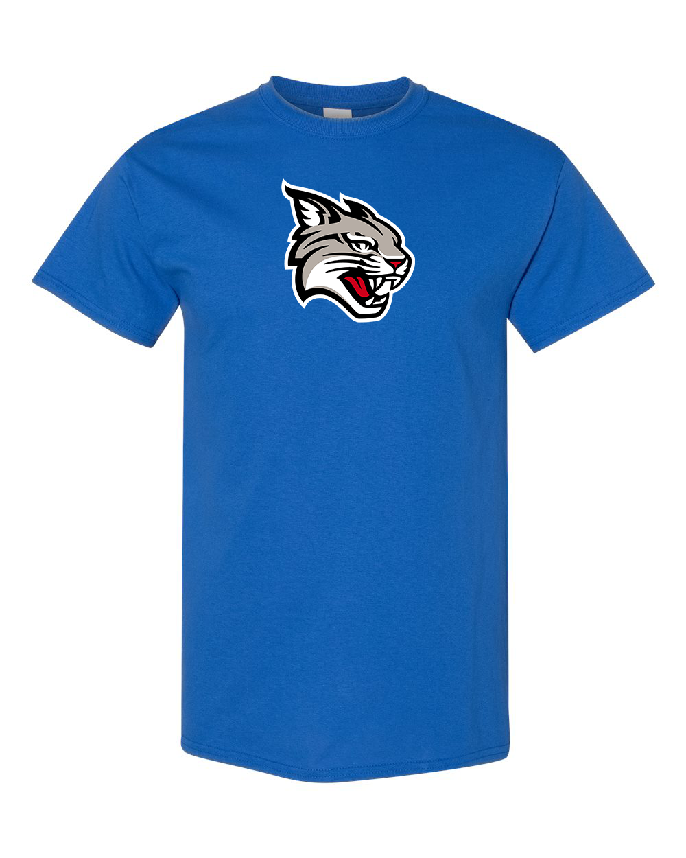 Men's Davidson Wildcats Gildan Heavy Cotton T-Shirt