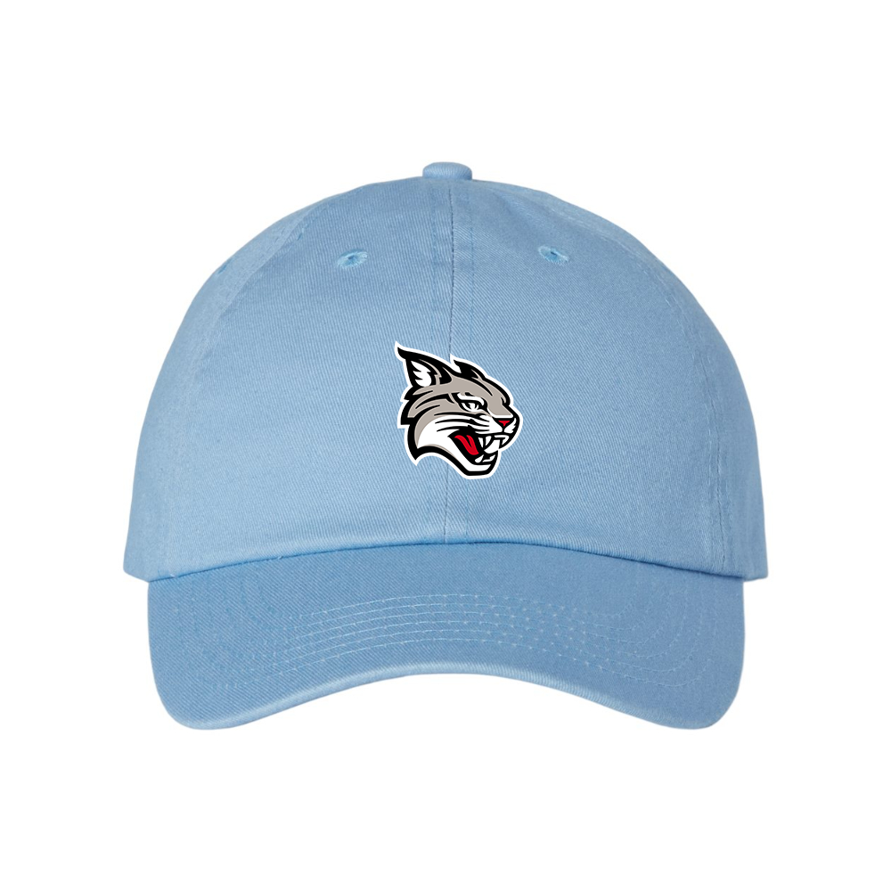 Davidson Wildcats  Valucap Adult Bio-Washed Classic Dad Hat