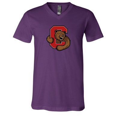 Cornell Big Red BELLA  CANVAS - Jersey V-Neck T-Shirt